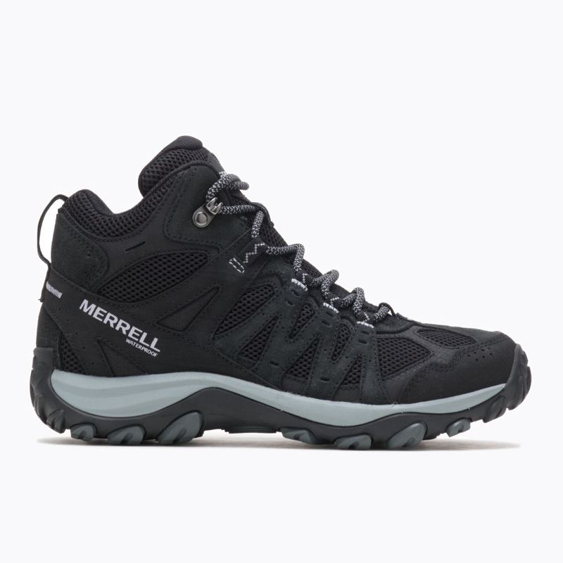 accentor 3 mid